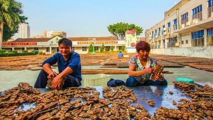 重磅!就在明天!沙井金蠔節(jié)盛大開幕!20余項(xiàng)精彩活動即將上線!
